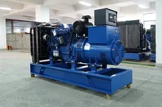 관개 실험소용 100kW 디젤 발전기 세트