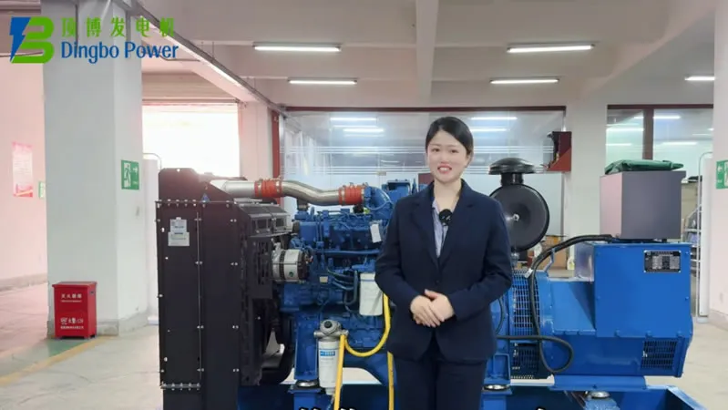 디젤 발전기에 연료, 오일, 냉각수를 추가하는 방법