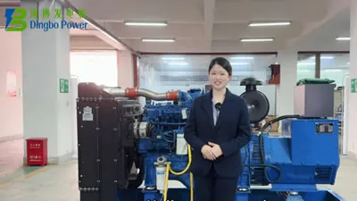 디젤 발전기에 연료, 오일, 냉각수를 추가하는 방법